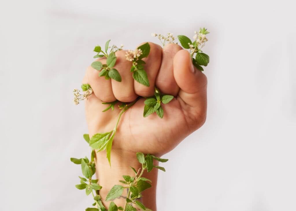Upaya Pelestarian Flora dan Fauna di Indonesia: Strategi, Peran Pemerintah, Masyarakat, dan Teknologi untuk Menjaga Keanekaragaman Hayati, Habitat Alam, serta Mendukung Ekosistem Berkelanjutan bagi Generasi Saat Ini dan Masa Depan